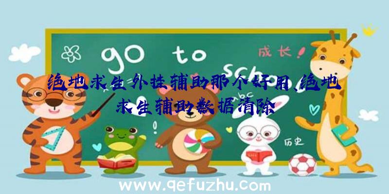 绝地求生外挂辅助那个好用、绝地求生辅助数据清除