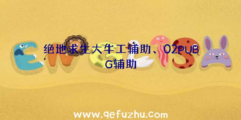 绝地求生大牛工辅助、02PUBG辅助