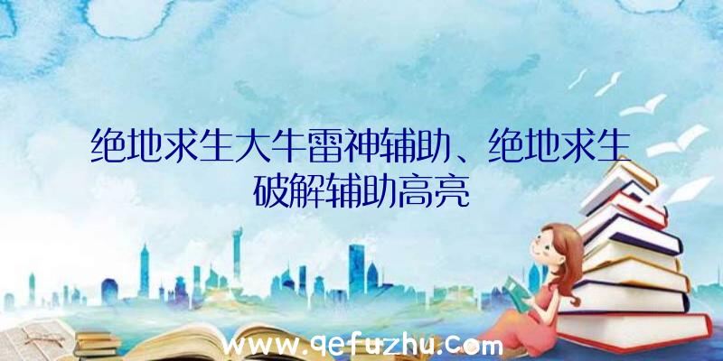 绝地求生大牛雷神辅助、绝地求生破解辅助高亮