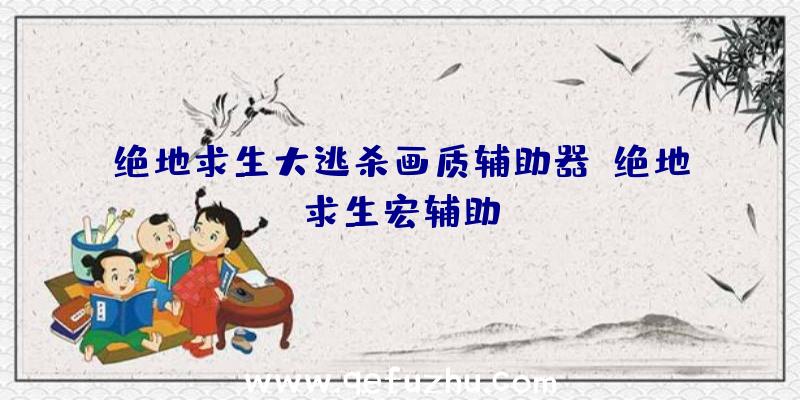 绝地求生大逃杀画质辅助器、绝地求生宏辅助