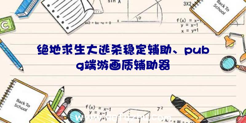绝地求生大逃杀稳定辅助、pubg端游画质辅助器