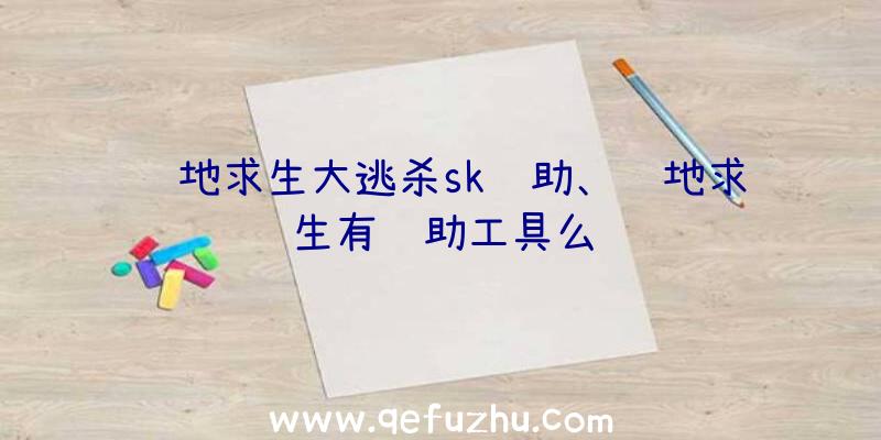 绝地求生大逃杀sk辅助、绝地求生有辅助工具么