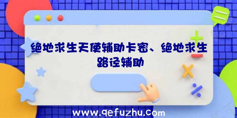 绝地求生天使辅助卡密、绝地求生