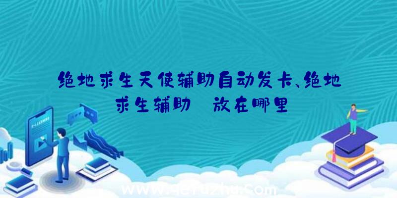 绝地求生天使辅助自动发卡、绝地求生辅助