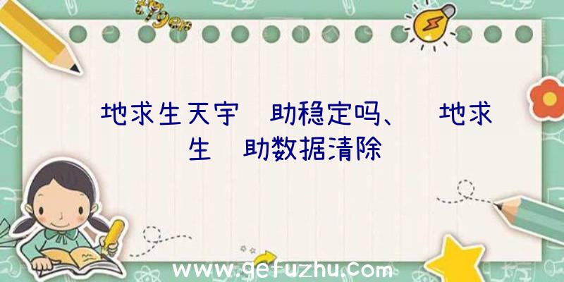 绝地求生天宇辅助稳定吗、绝地求生辅助数据清除