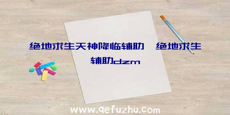 绝地求生天神降临辅助、绝地求生辅助dzm