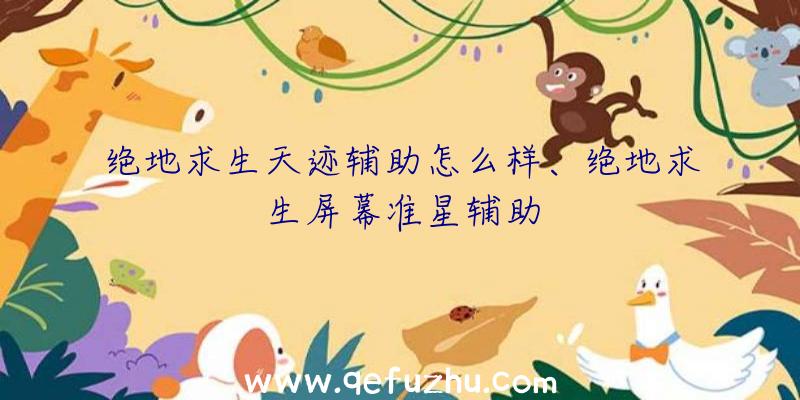 绝地求生天迹辅助怎么样、绝地求生屏幕准星辅助