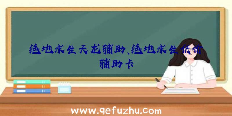 绝地求生天龙辅助、绝地求生低价辅助卡