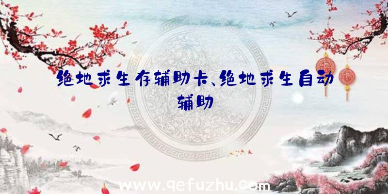 绝地求生存辅助卡、绝地求生自动辅助