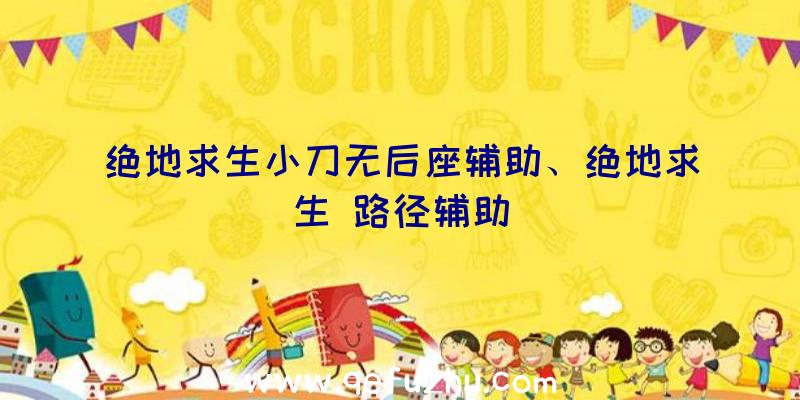 绝地求生小刀无后座辅助、绝地求生