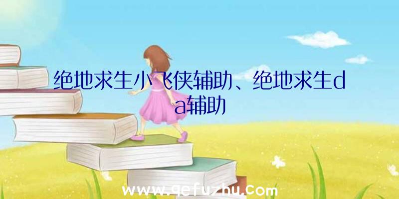 绝地求生小飞侠辅助、绝地求生da辅助