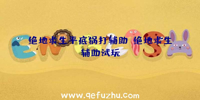绝地求生平底锅打辅助、绝地求生辅助试玩