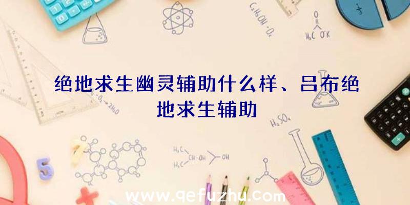 绝地求生幽灵辅助什么样、吕布绝地求生辅助