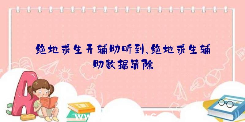 绝地求生开辅助听到、绝地求生辅助数据清除