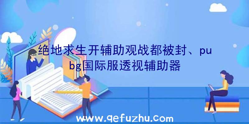 绝地求生开辅助观战都被封、pubg国际服透视辅助器