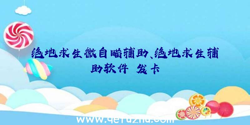 绝地求生微自瞄辅助、绝地求生辅助软件