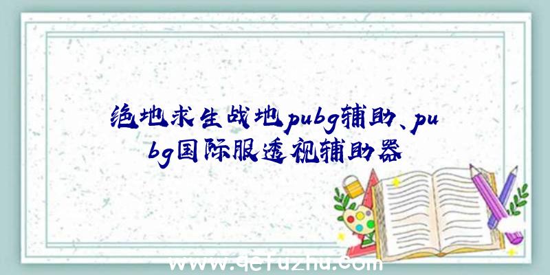 绝地求生战地pubg辅助、pubg国际服透视辅助器