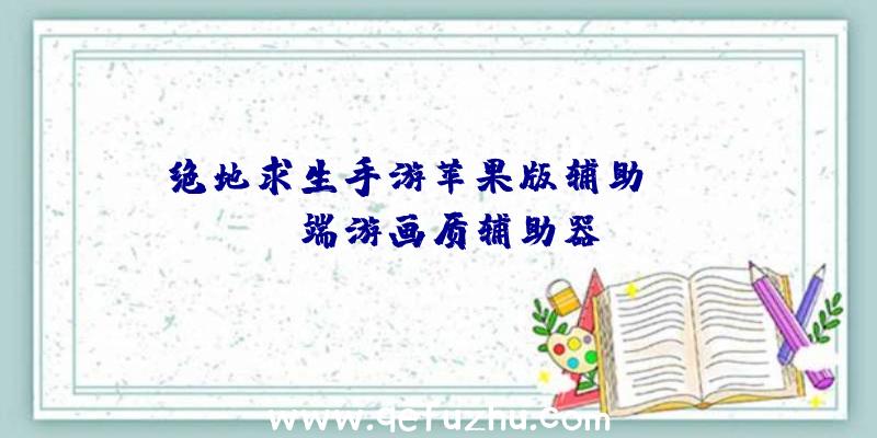 绝地求生手游苹果版辅助、pubg端游画质辅助器
