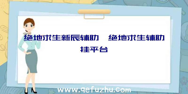 绝地求生新辰辅助、绝地求生辅助挂平台