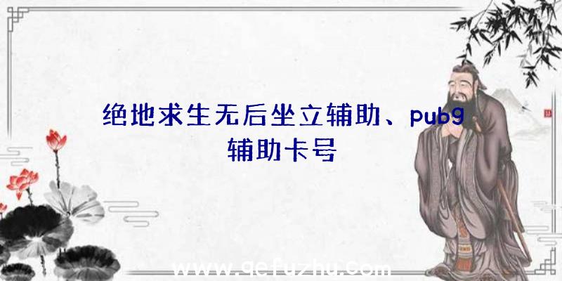 绝地求生无后坐立辅助、pubg辅助卡号