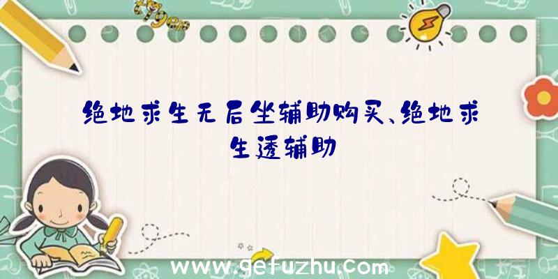 绝地求生无后坐辅助购买、绝地求生透辅助