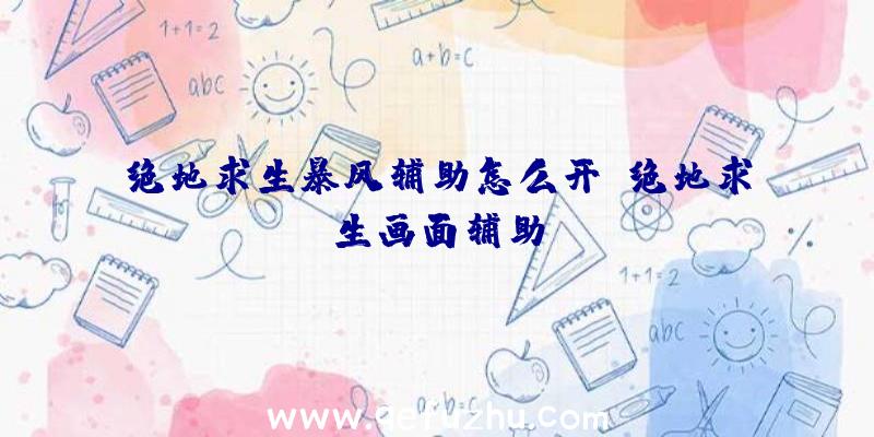 绝地求生暴风辅助怎么开、绝地求生画面辅助