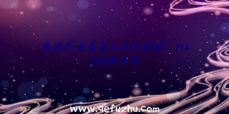 绝地求生最多人买的辅助、pubg辅助卡号