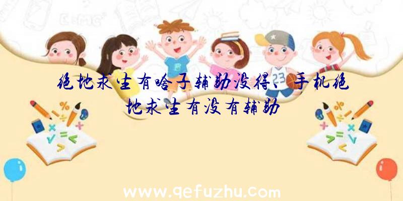 绝地求生有啥子辅助没得、手机绝地求生有没有辅助