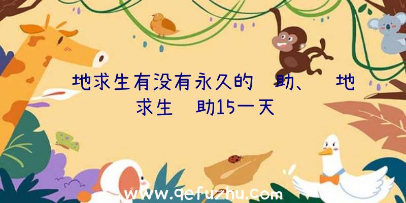 绝地求生有没有永久的辅助、绝地求生辅助15一天