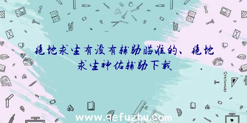 绝地求生有没有辅助瞄准的、绝地求生神佑辅助下载