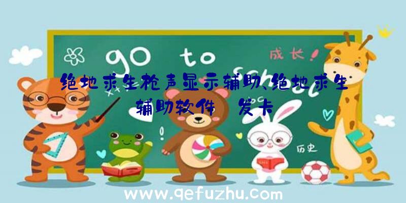 绝地求生枪声显示辅助、绝地求生辅助软件