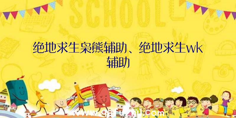 绝地求生枭熊辅助、绝地求生wk辅助