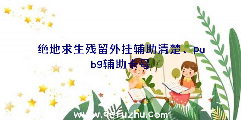 绝地求生残留外挂辅助清楚、pubg辅助卡号