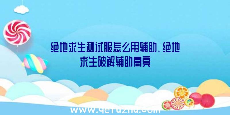 绝地求生测试服怎么用辅助、绝地求生破解辅助高亮