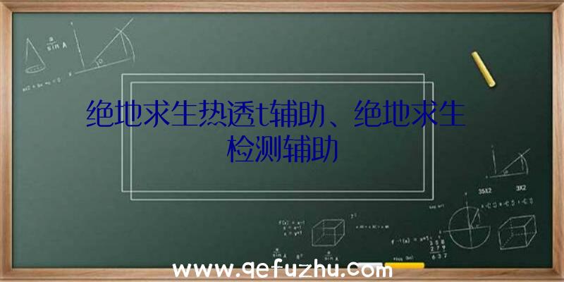 绝地求生热透t辅助、绝地求生