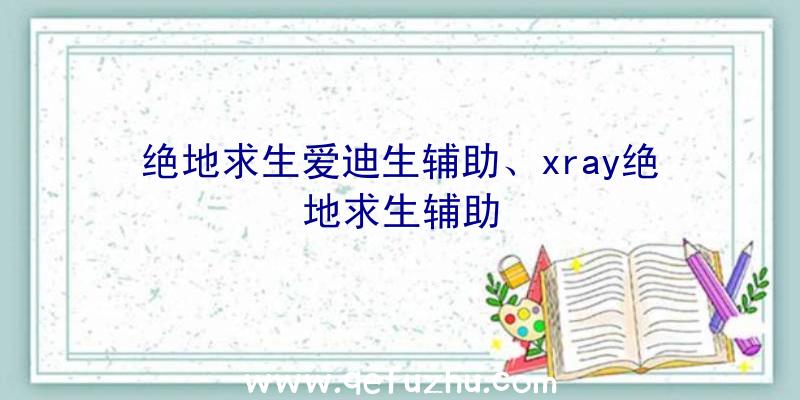 绝地求生爱迪生辅助、xray绝地求生辅助