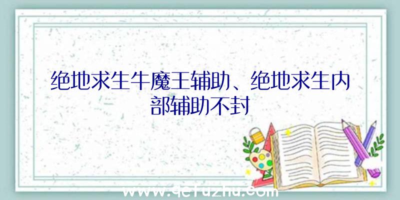 绝地求生牛魔王辅助、绝地求生内部辅助不封