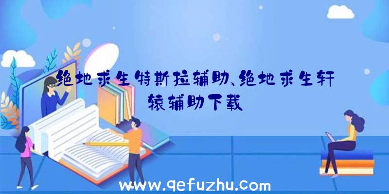 绝地求生特斯拉辅助、绝地求生轩辕辅助下载