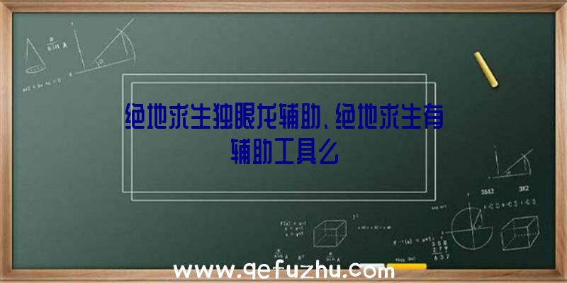 绝地求生独眼龙辅助、绝地求生有辅助工具么