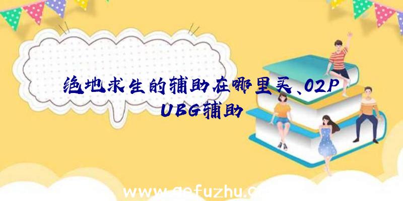 绝地求生的辅助在哪里买、02PUBG辅助