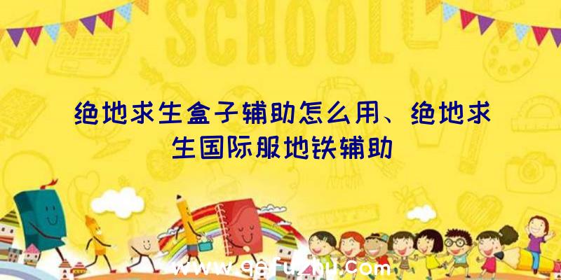 绝地求生盒子辅助怎么用、绝地求生国际服地铁辅助