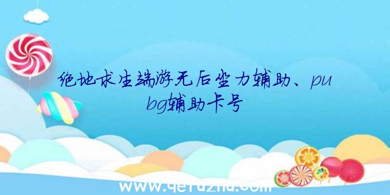 绝地求生端游无后坐力辅助、pubg辅助卡号
