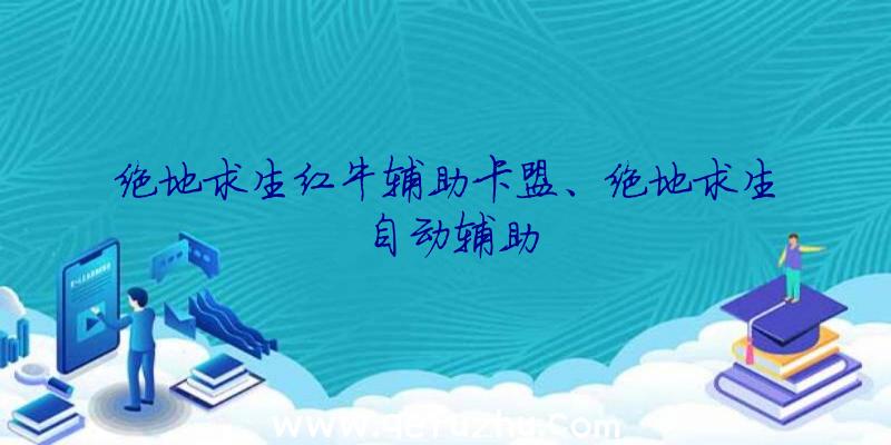 绝地求生红牛辅助卡盟、绝地求生自动辅助