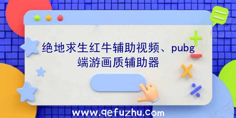 绝地求生红牛辅助视频、pubg端游画质辅助器