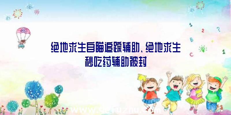 绝地求生自瞄追踪辅助、绝地求生秒吃药辅助被封