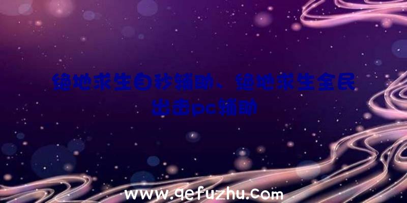 绝地求生自秒辅助、绝地求生全民出击pc辅助