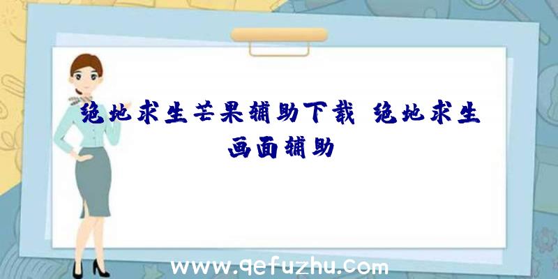 绝地求生芒果辅助下载、绝地求生画面辅助