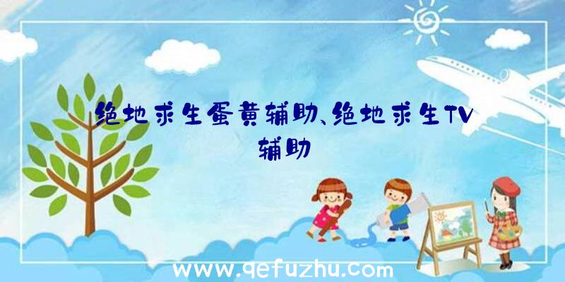 绝地求生蛋黄辅助、绝地求生TV辅助