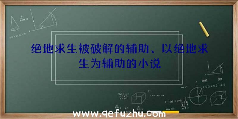 绝地求生被破解的辅助、以绝地求生为辅助的小说