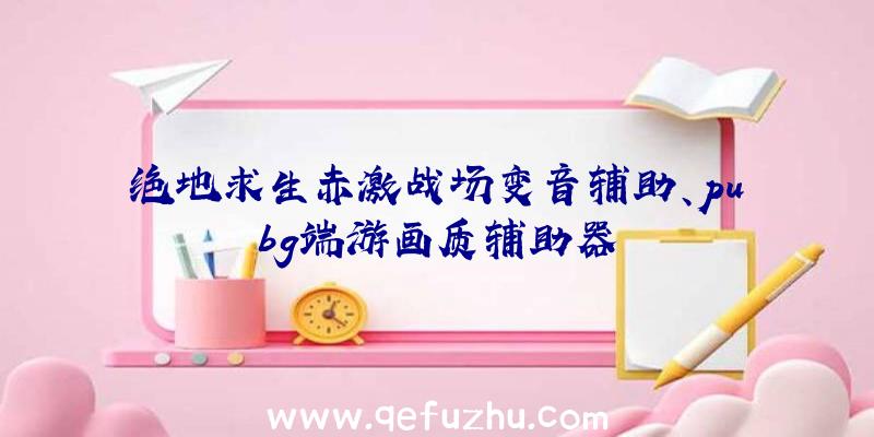 绝地求生赤激战场变音辅助、pubg端游画质辅助器